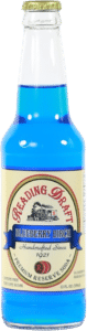 Reading Soda Works Blueberry Birch