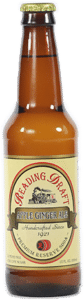 Reading Soda Works Apple Ginger Ale