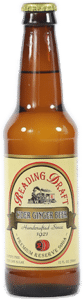 Reading Soda Works Cider Ginger Beer